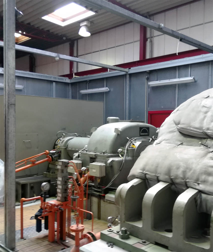 biomass plant generator Denmark