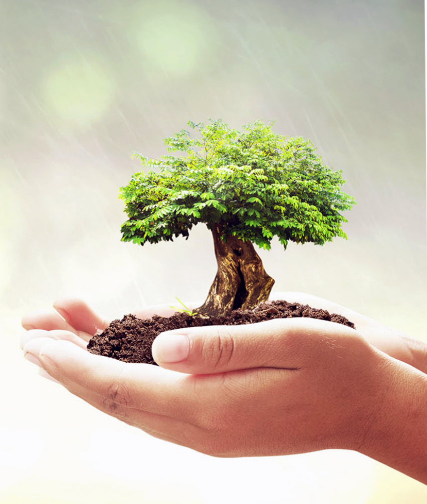 Greenray can help you